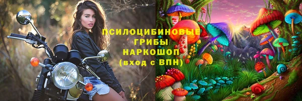 ПСИЛОЦИБИНОВЫЕ ГРИБЫ Бородино