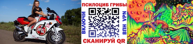 как найти закладки  Меленки  Галлюциногенные грибы прущие грибы 